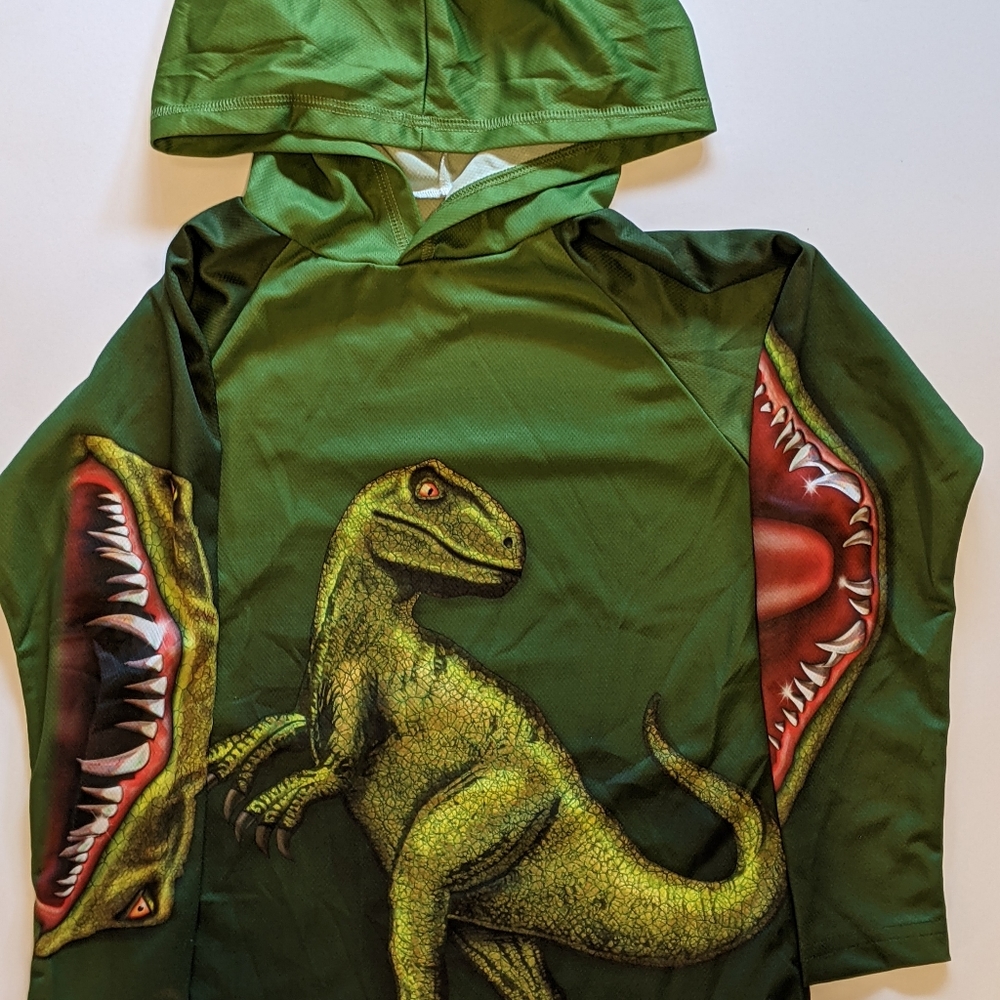 Boys Size 10 Fun Dinosaur Shirt with hood